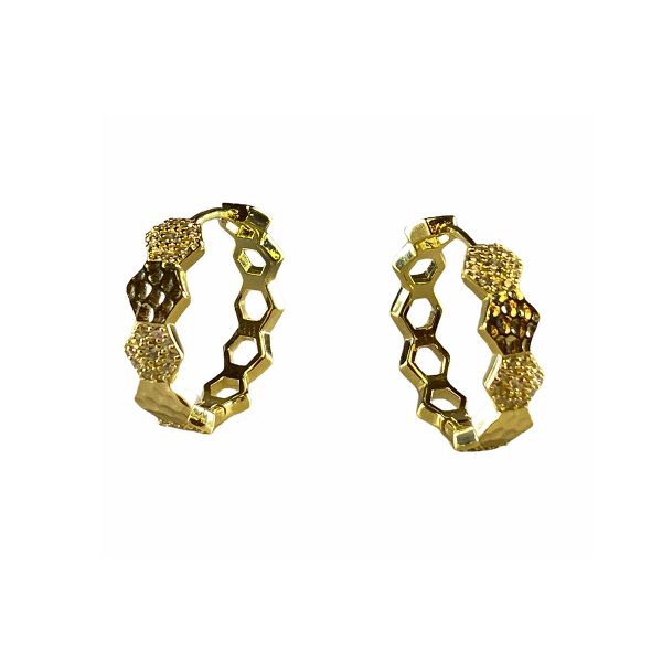 Gold Hoops Earrings With CZ-0