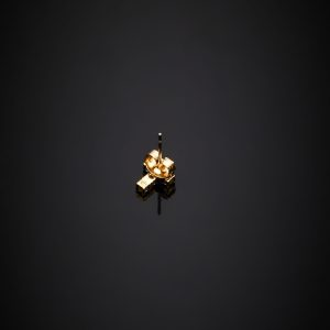 CHIARA FERRAGNI CROCI J19AWC13 Gold Earrings With Stones