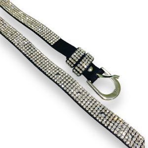 Black Belt With White Crystals